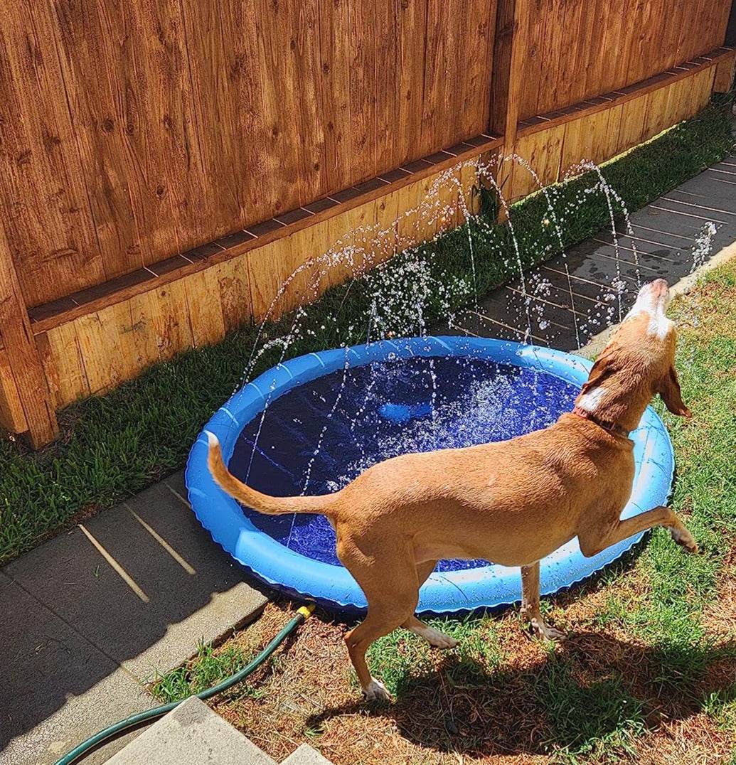 SplashPaw™ Fun Zone - The Splash Pad Makes Your Pup and Kids Happy! - Image 13