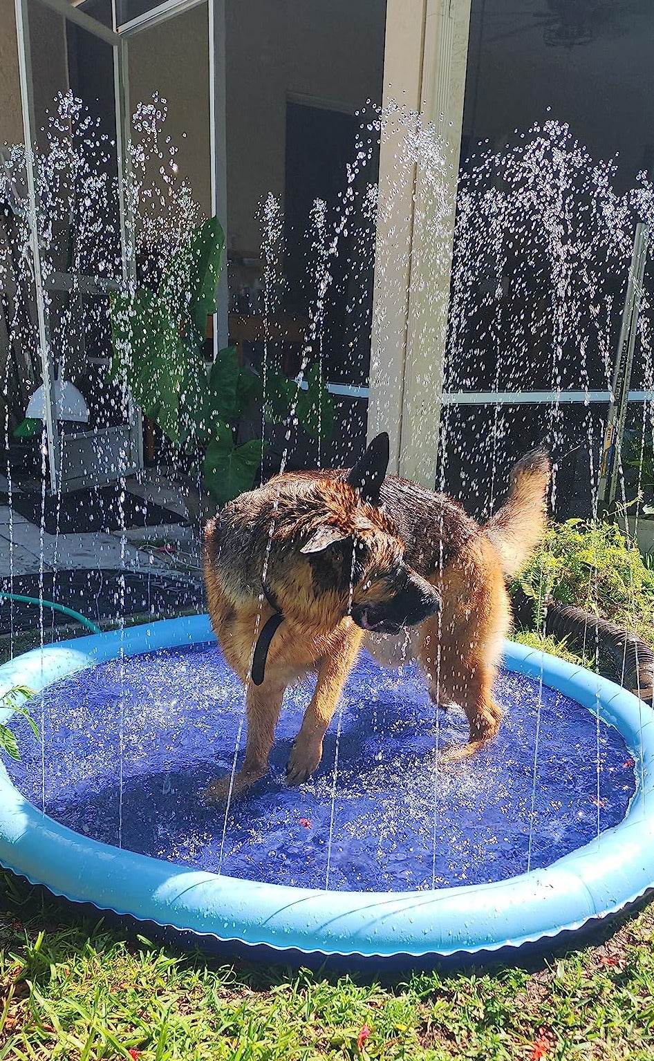SplashPaw™ Fun Zone - The Splash Pad Makes Your Pup and Kids Happy! - Image 29
