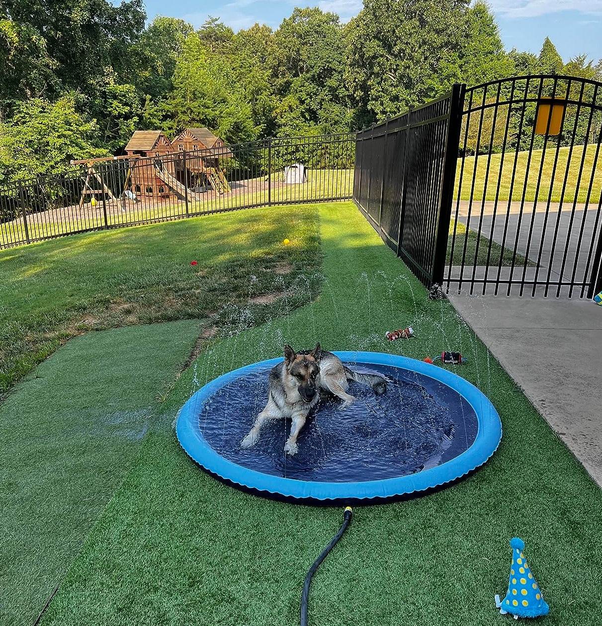 SplashPaw™ Fun Zone - The Splash Pad Makes Your Pup and Kids Happy! - Image 33