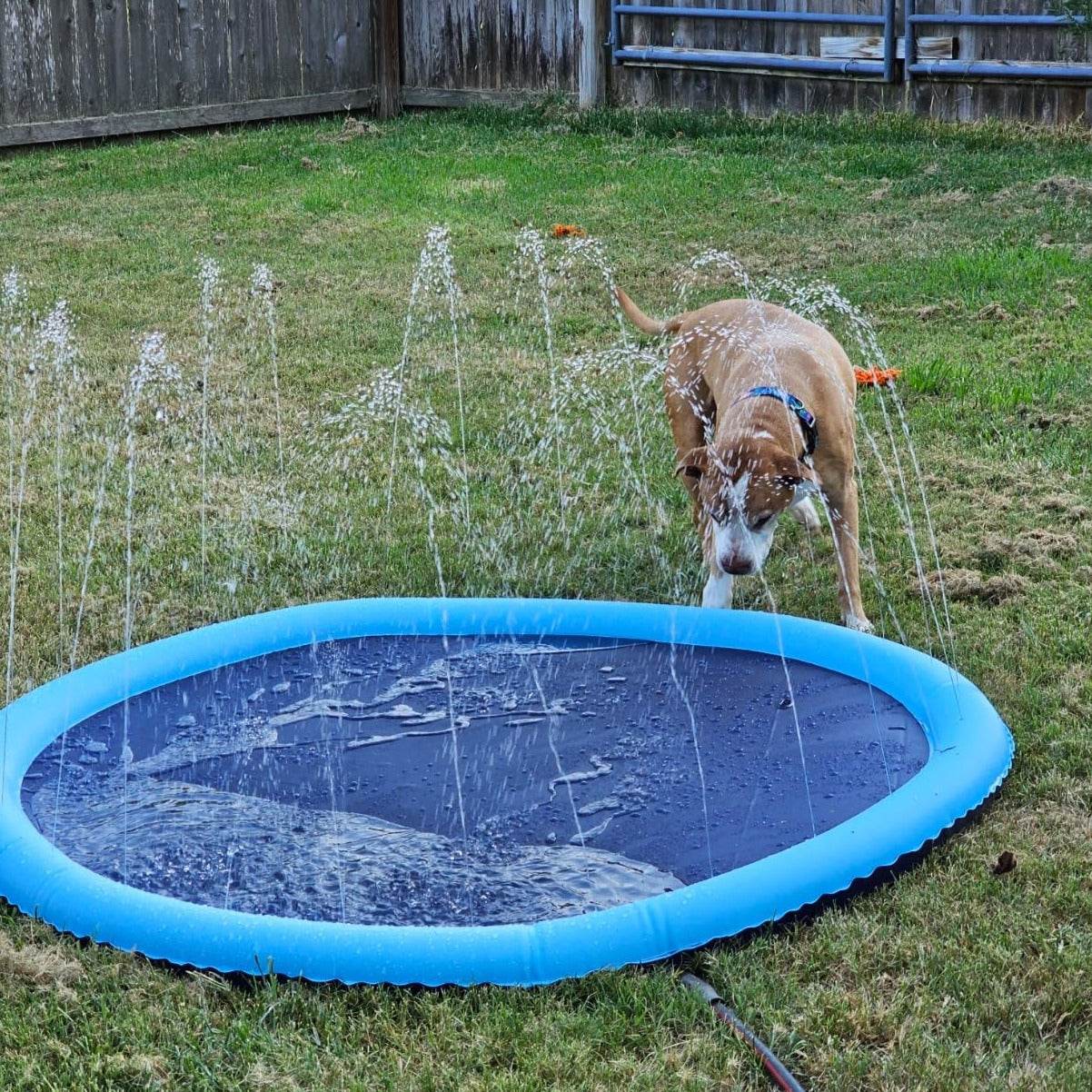 SplashPaw™ Fun Zone - The Splash Pad Makes Your Pup and Kids Happy! - Image 34