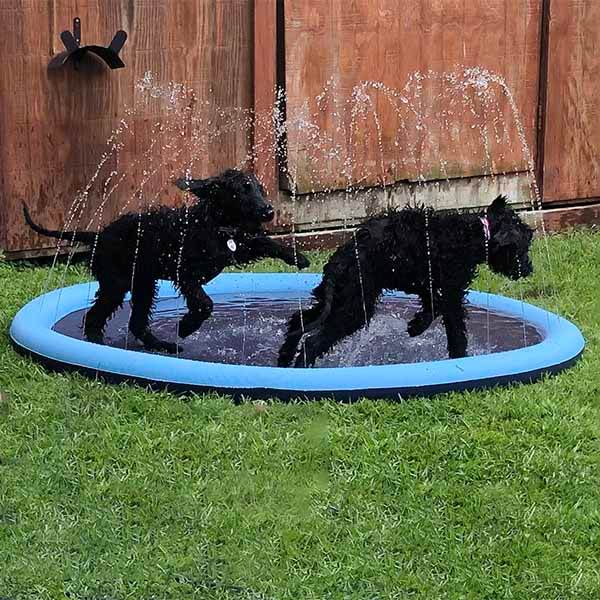 SplashPaw™ Fun Zone - The Splash Pad Makes Your Pup and Kids Happy! - Image 4