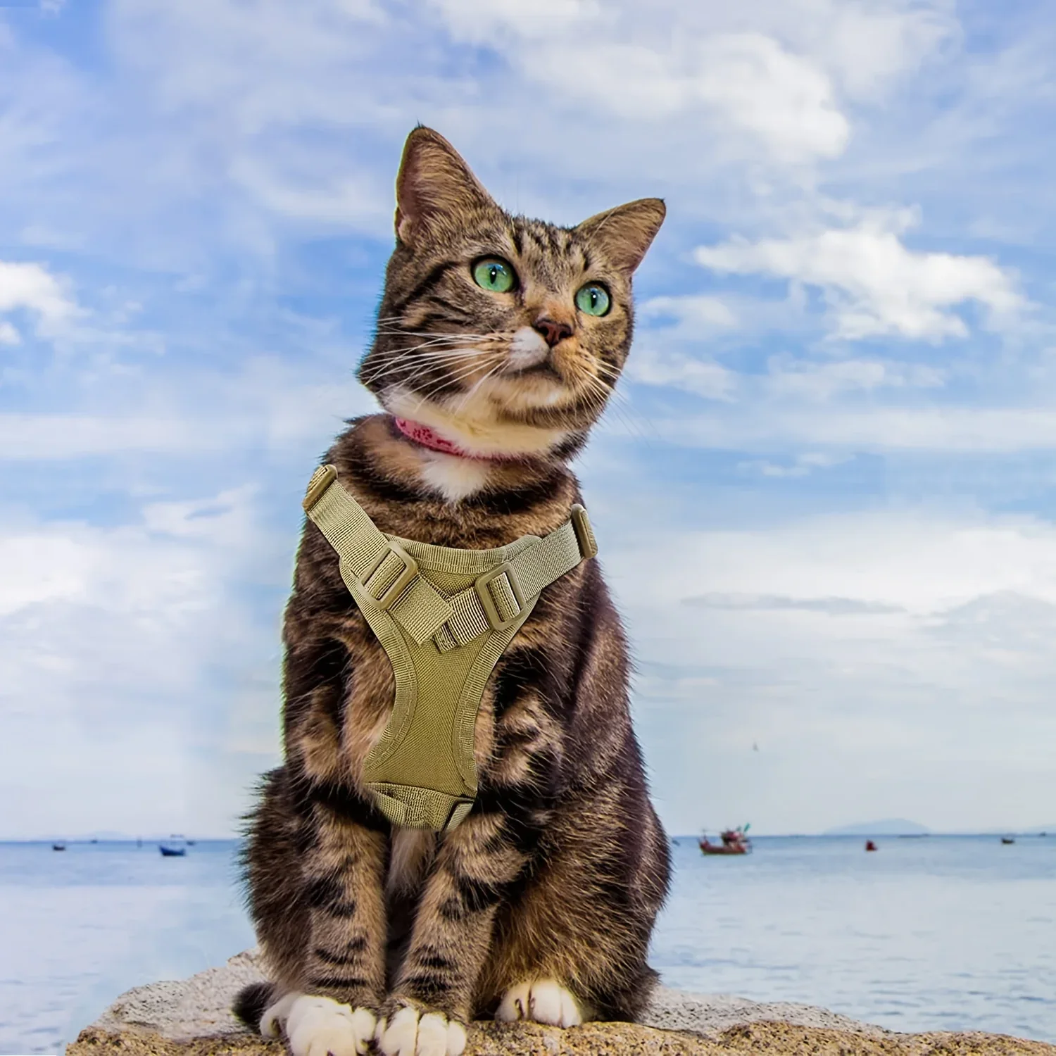 Tactical Cat Vest with Adjustable Straps & Red Cross Patch - Durable 600D Nylon Chest Harness for Small Dogs & Cats, Secure Leash Attachment, Ergonomic Design for Training & Outdoor Adventures, Cat Vest Harness, Adventure Pet - Image 7